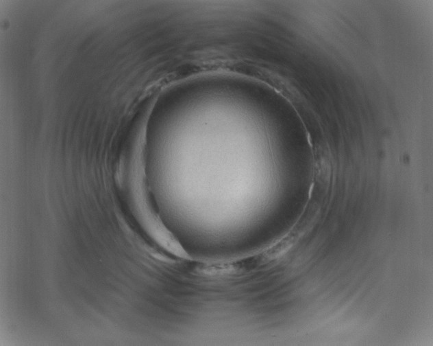 X0000070230767200605301455