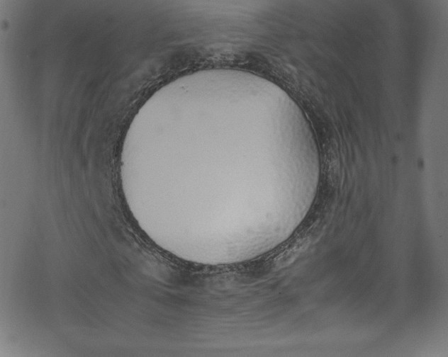 X0000070230769200605301455