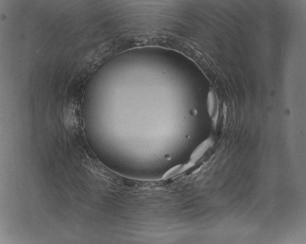 X0000070230770200605301455