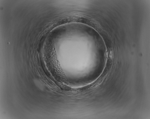 X0000070230771200605301455