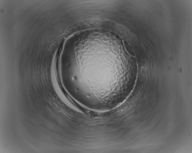 X0000070230772200605301455