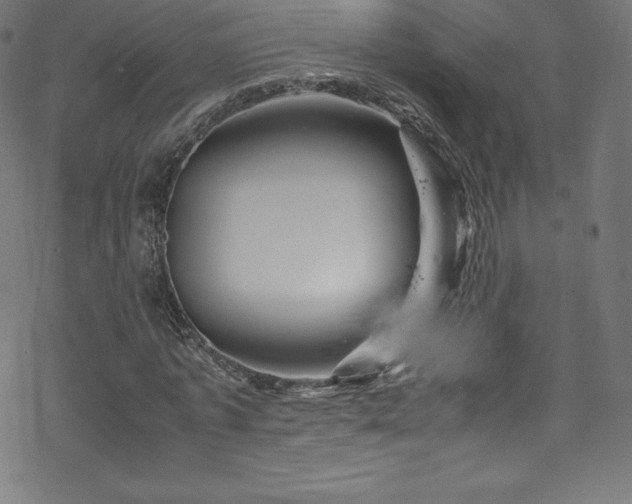 X0000070230773200605301455