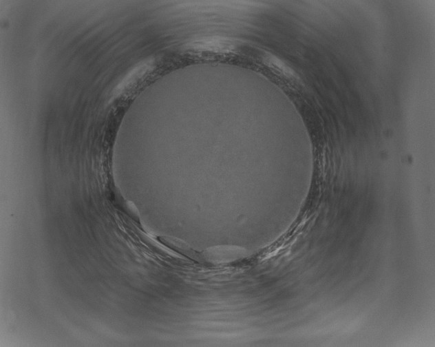 X0000070230774200605301455