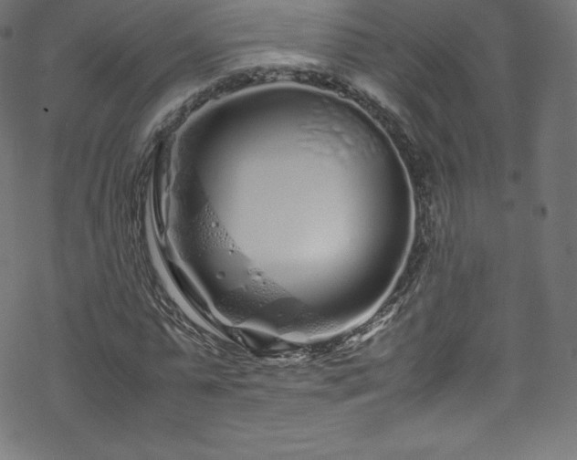 X0000070230775200605301454