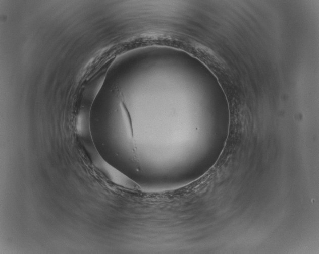 X0000070230776200605301454