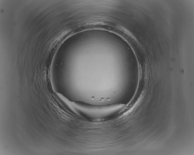 X0000070230777200605301454