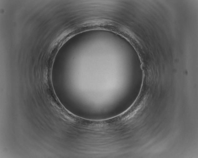 X0000070230778200605301454