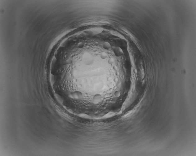 X0000070230779200605301454