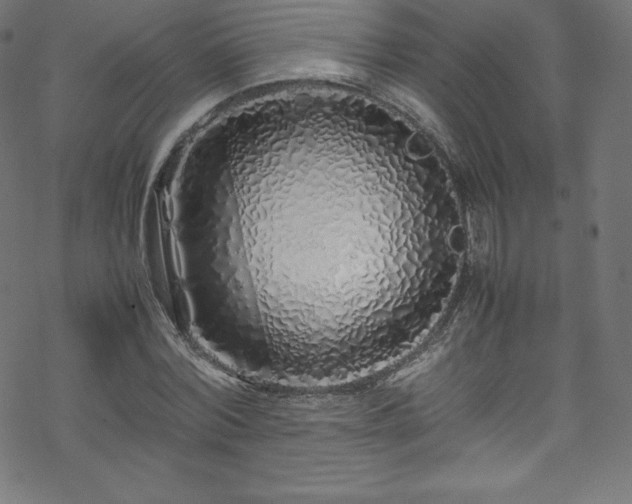 X0000070230780200605301454