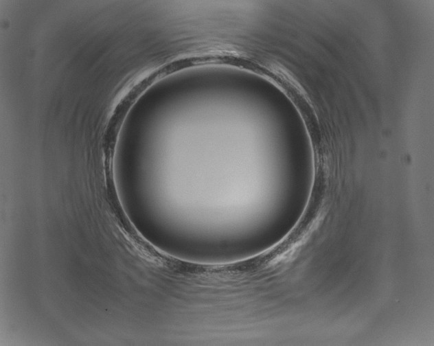 X0000070230781200605301454