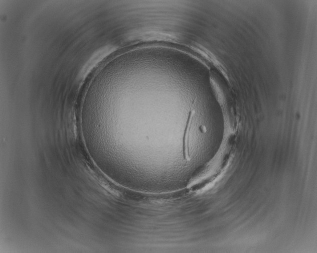 X0000070230782200605301454