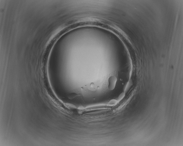 X0000070230783200605301454