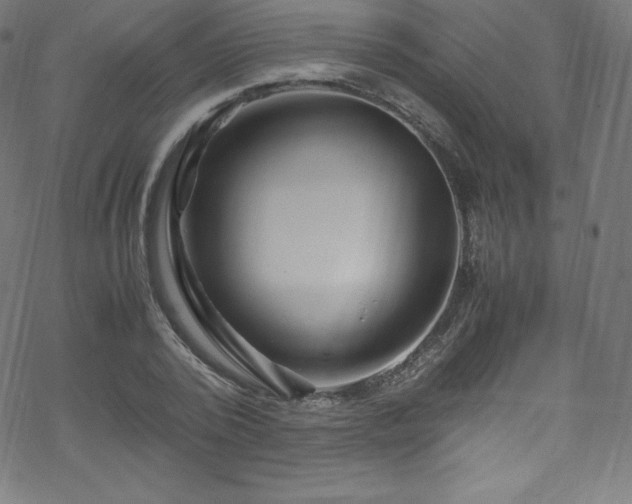 X0000070230784200605301454