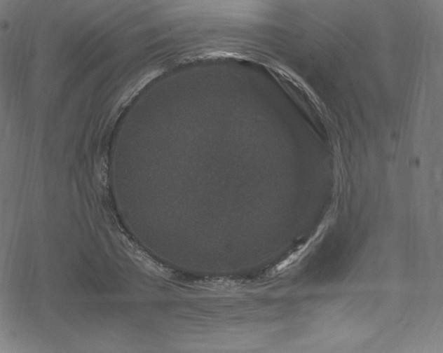 X0000070230785200605301454