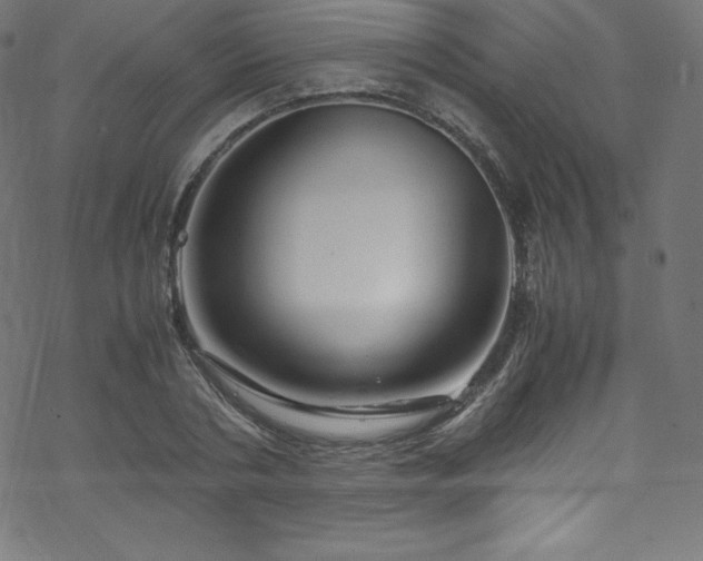 X0000070230786200605301454