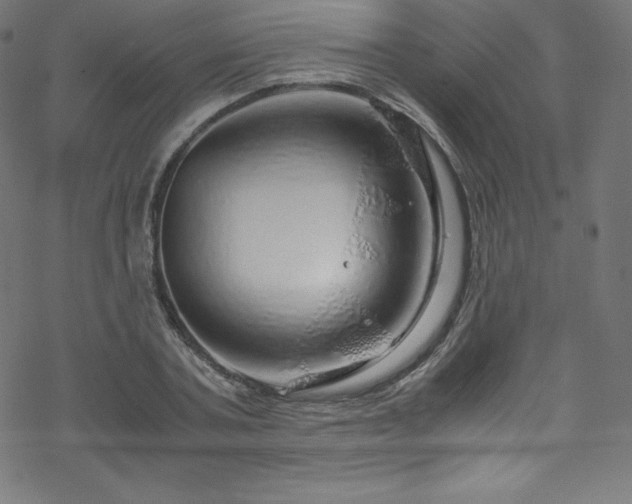 X0000070230787200605301454