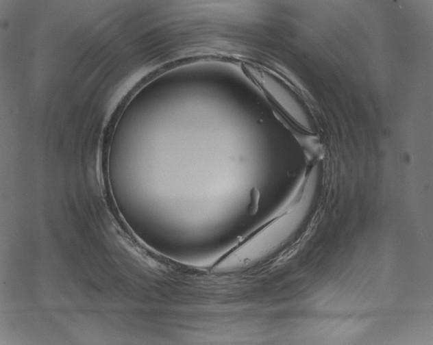 X0000070230788200605301454