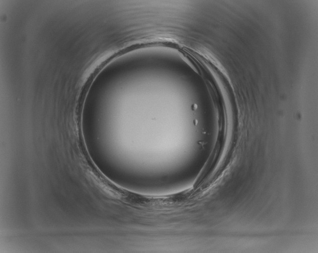 X0000070230789200605301454