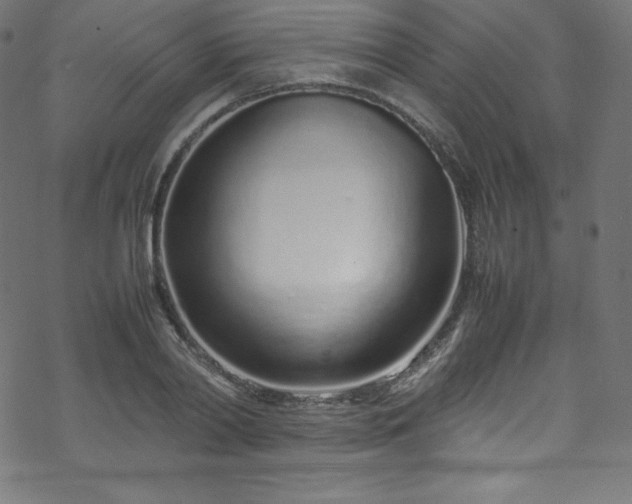 X0000070230790200605301454