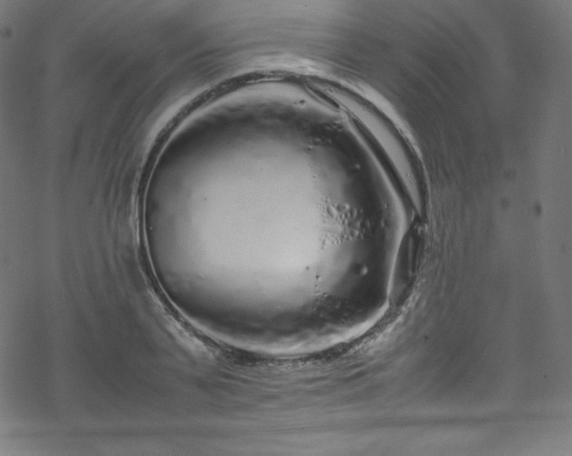 X0000070230791200605301454