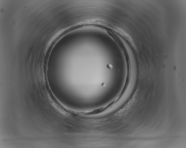 X0000070230792200605301454