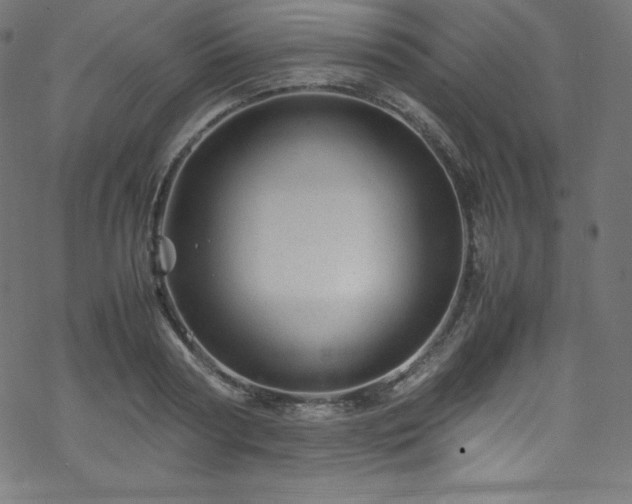 X0000070230794200605301454