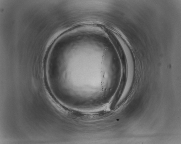 X0000070230795200605301454