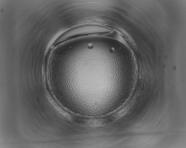 X0000070230796200605301454