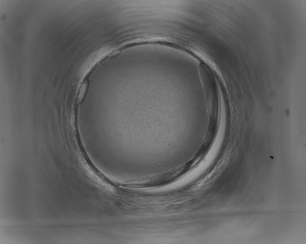 X0000070230797200605301454