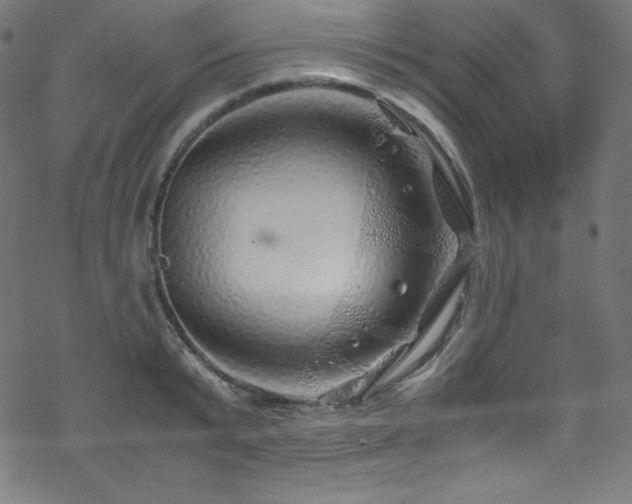 X0000070230799200605301454