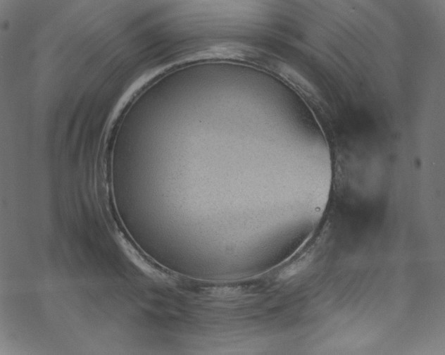 X0000070230800200605301454