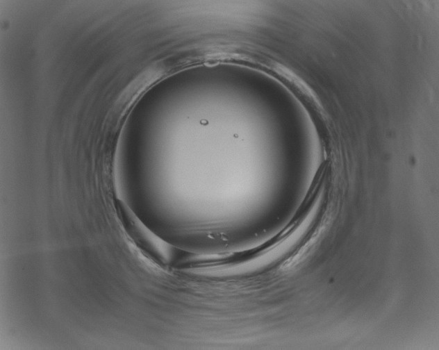 X0000070230801200605301454