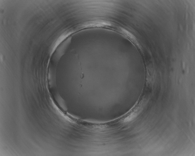 X0000070230802200605301454