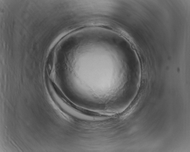 X0000070230803200605301454