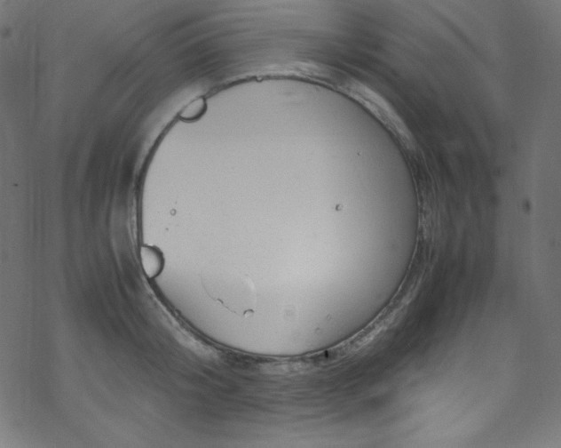 X0000070230804200605301454