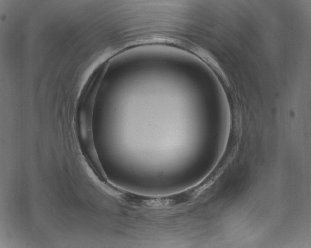 X0000070230805200605301454