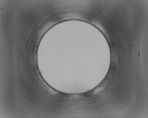 X0000070230807200605301454