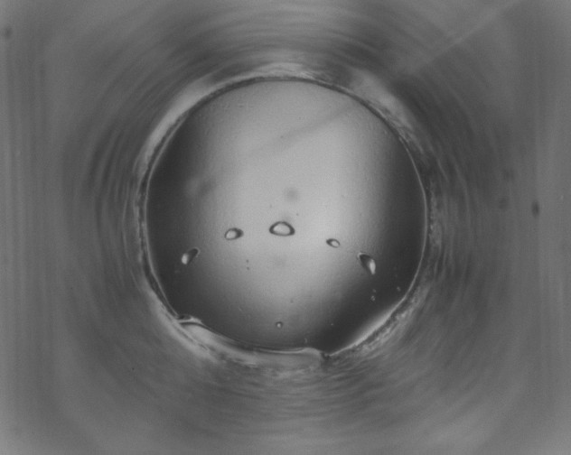 X0000070230808200605301454