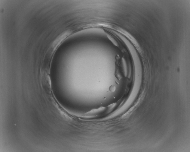 X0000070230809200605301454