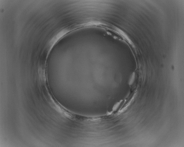 X0000070230810200605301454