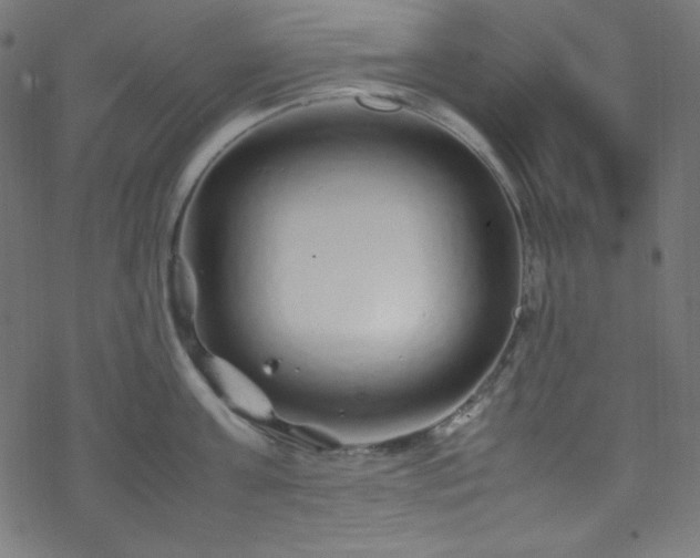 X0000070230811200605301454