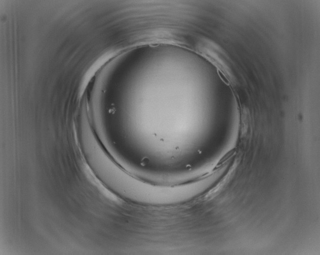 X0000070230812200605301454