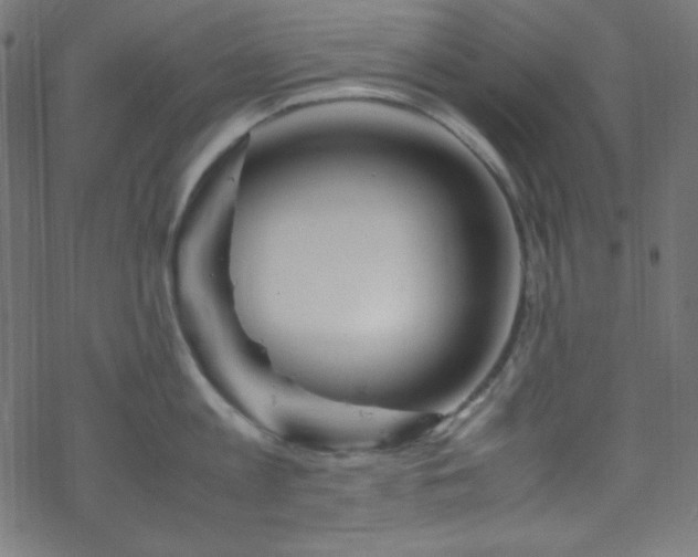 X0000070230813200605301454