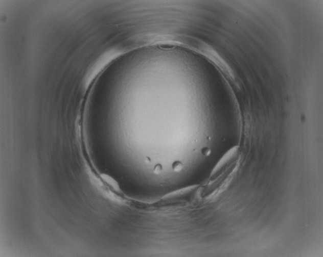 X0000070230814200605301454