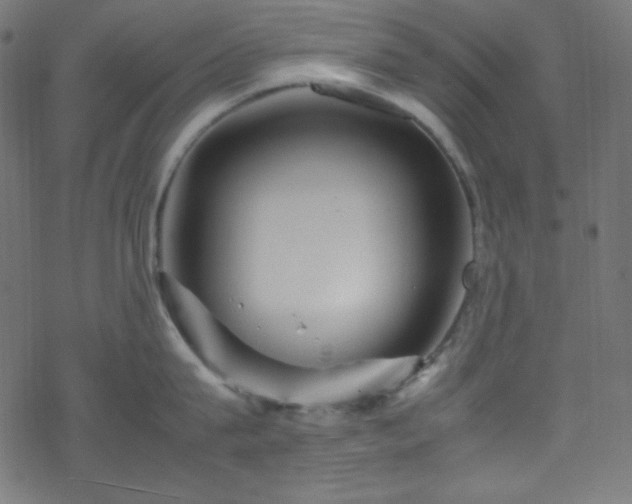 X0000070230815200605301454