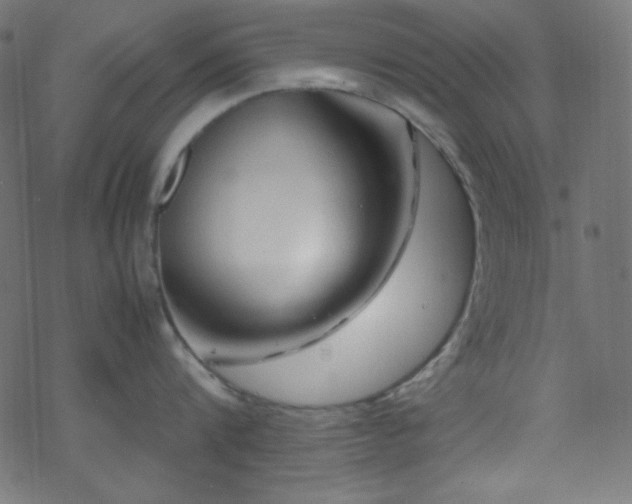 X0000070230816200605301454