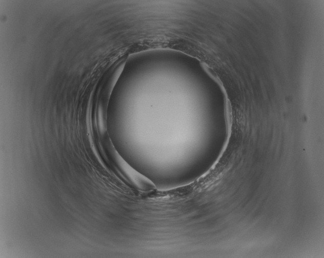 X0000070230818200605301453