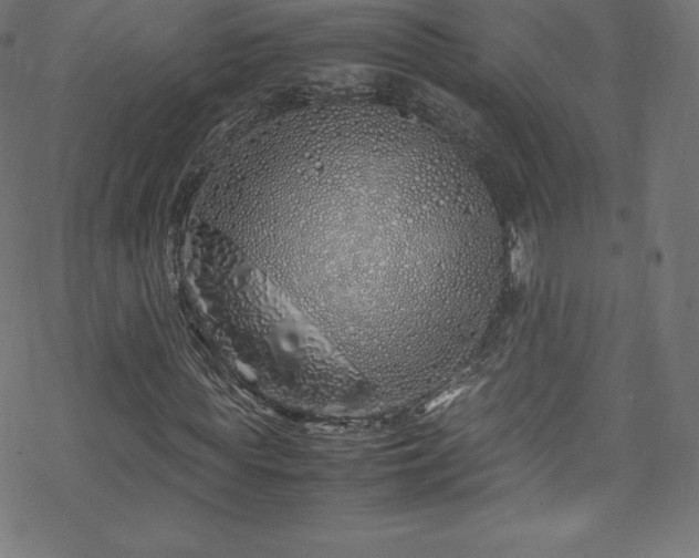 X0000070230819200605301453