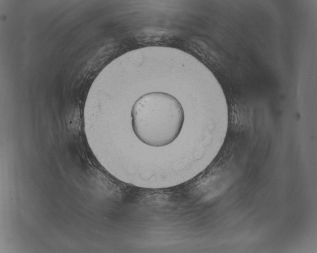 X0000070230820200605301453