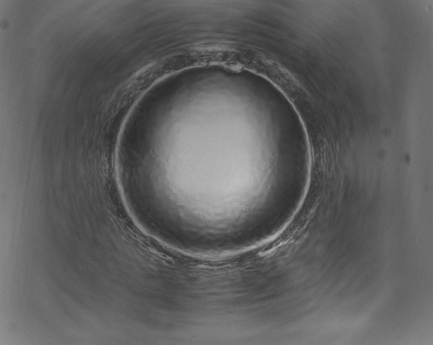 X0000070230821200605301453